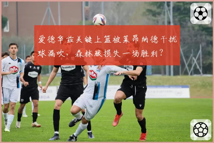 爱德华兹关键上篮被莱昂纳德干扰球漏吹,森林狼损失一场胜利?