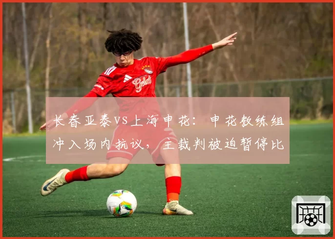 长春亚泰vs上海申花:申花教练组冲入场内抗议,主裁判被迫暂停比赛